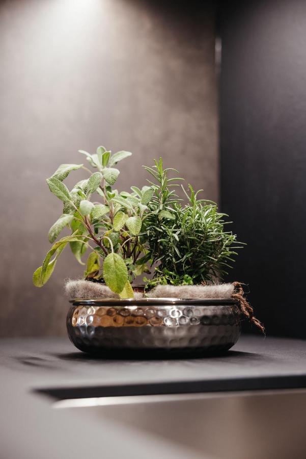 Apartment Alpine Sauter