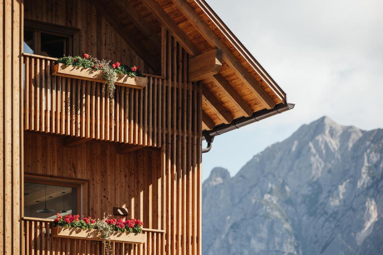 Alpine Sauter *