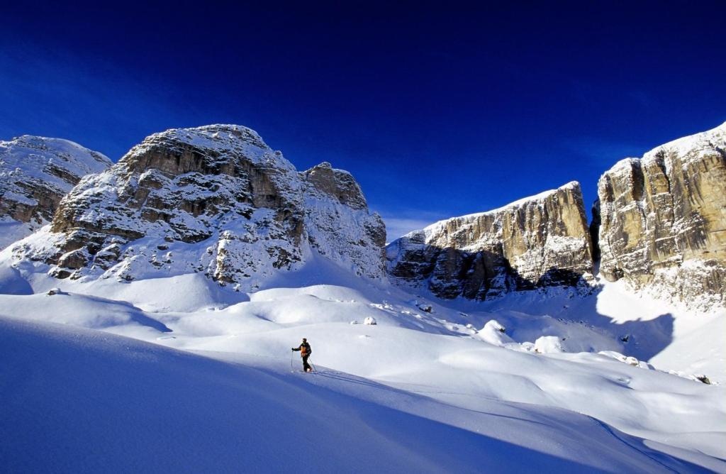 Alpine Sauter Apartment *